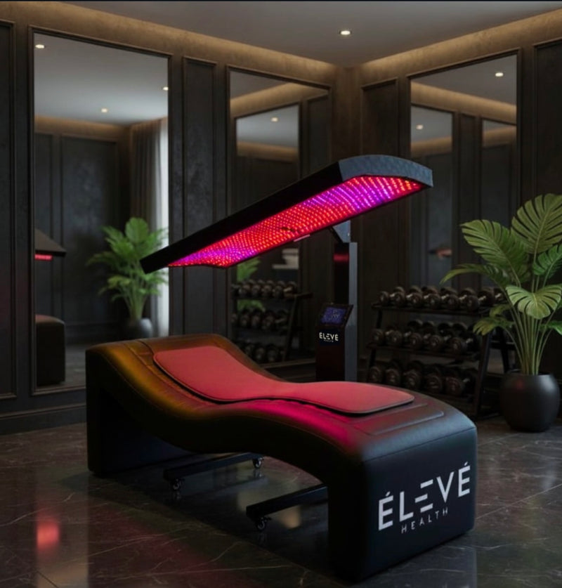 Eleve Powerhouse Trio