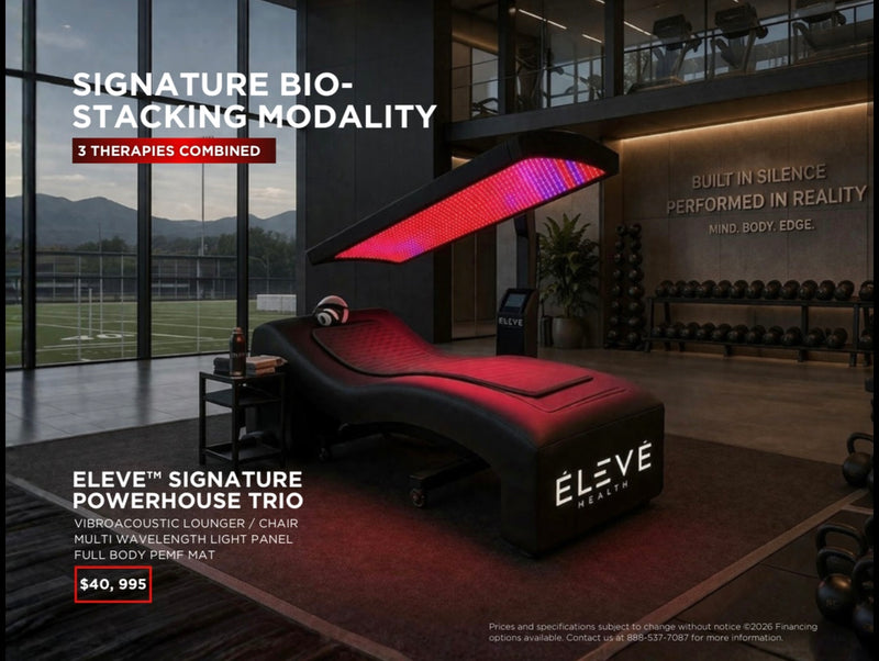 Eleve Powerhouse Trio